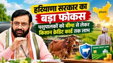 हरियाणा सरकार का बड़ा फोकस, पशुपालकों को बीमा से लेकर किसान क्रेडिट कार्ड तक लाभ
