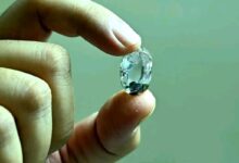 Panna Diamond News: मझगवां खदान से निकला 27.29 कैरेट का प्राकृतिक हीरा