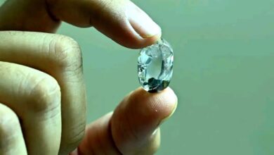 Panna Diamond News: मझगवां खदान से निकला 27.29 कैरेट का प्राकृतिक हीरा