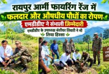MDDA की नई पहल: पौधे लगाने के साथ सुरक्षा और रखरखाव की भी पुख्ता व्यवस्था