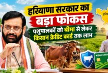 हरियाणा में पशुपालन को मिलेगा कारोबार का दर्जा, बीमा और सब्सिडी से मजबूत होगी आय